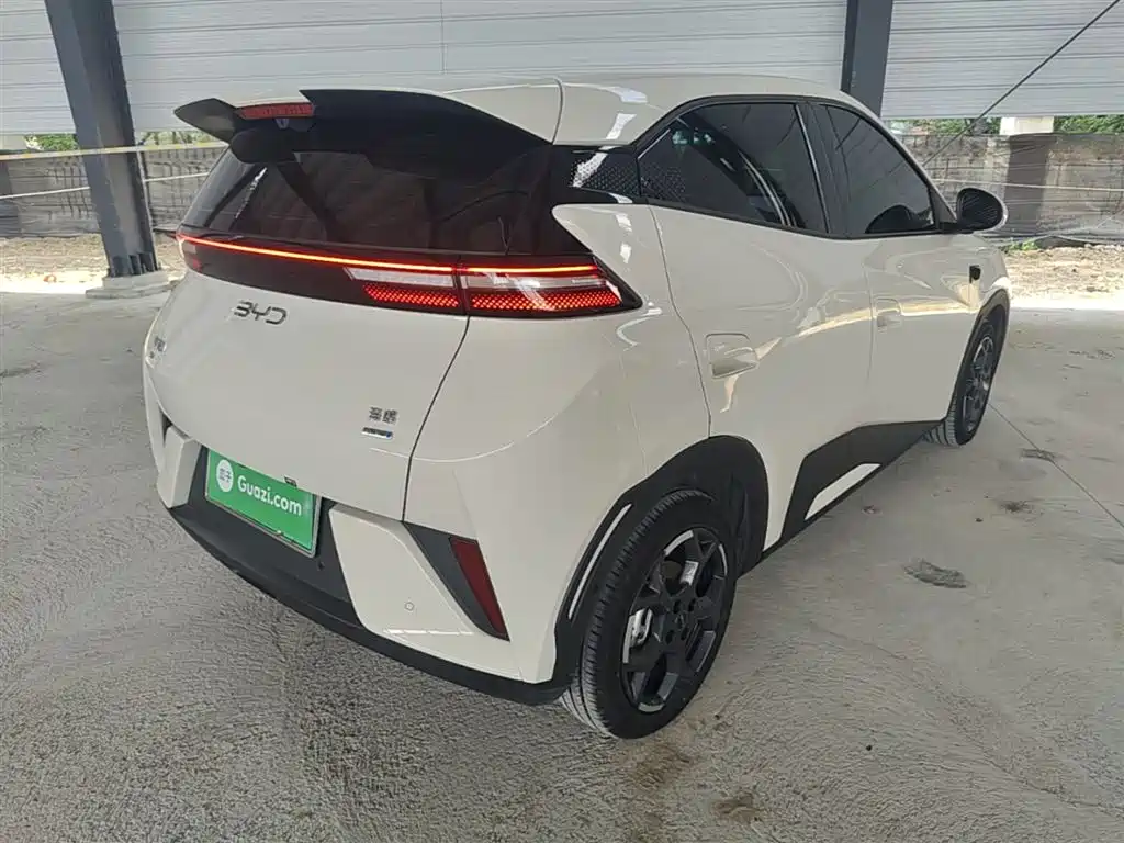 BYD Seagull 2025 Smart Drive Edition 305km Freedom Version фото 7