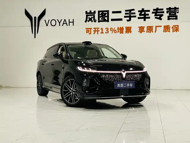 Voyah Auto Voyah Zhiyin 2025 Base — фото 3