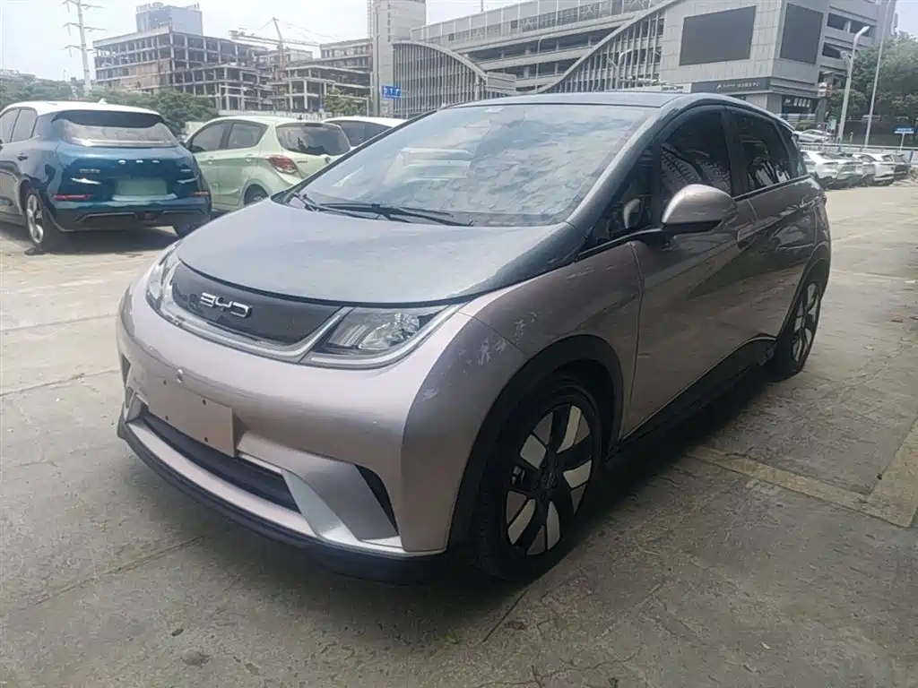 BYD Dolphin 2021 401km Knight Edition