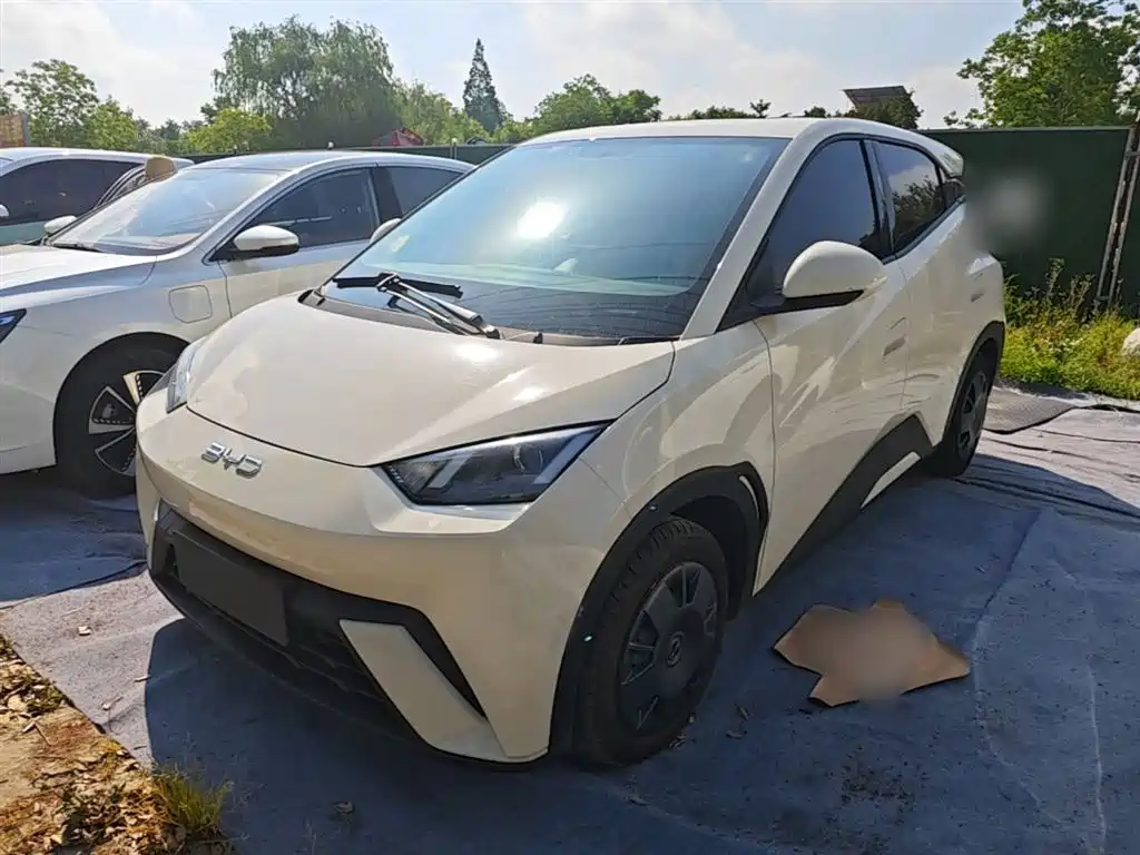 BYD Seagull 2024 Glory Edition 305km Vitality Edition