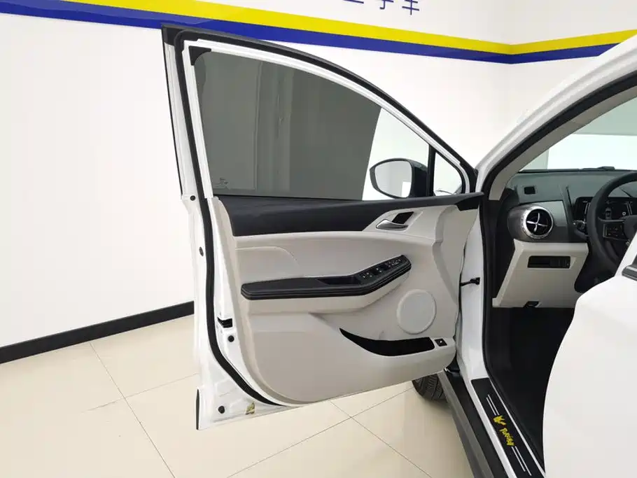 BYD Yuan Pro 2022 2021 401KM Premium Model