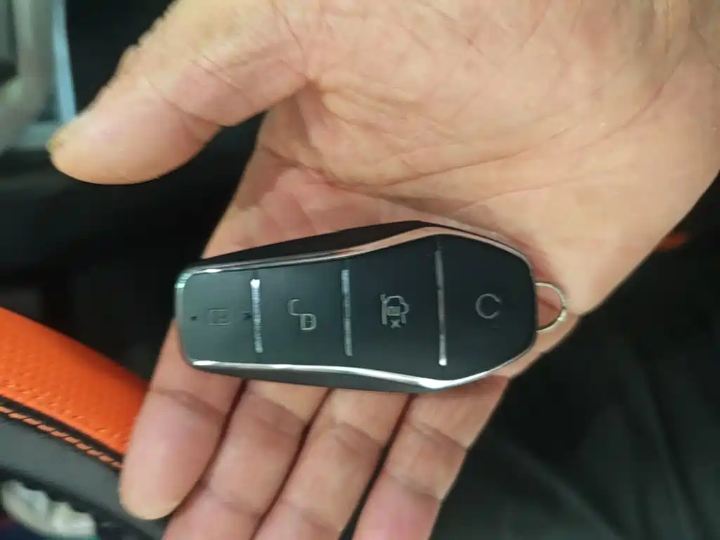 BYD Dolphin 2022 2021 405km Freedom Edition
