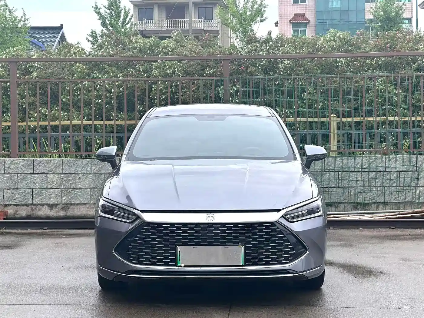 BYD Qin PLUS 2023 Champion Edition DM-i 120KM Leading Type фото 2