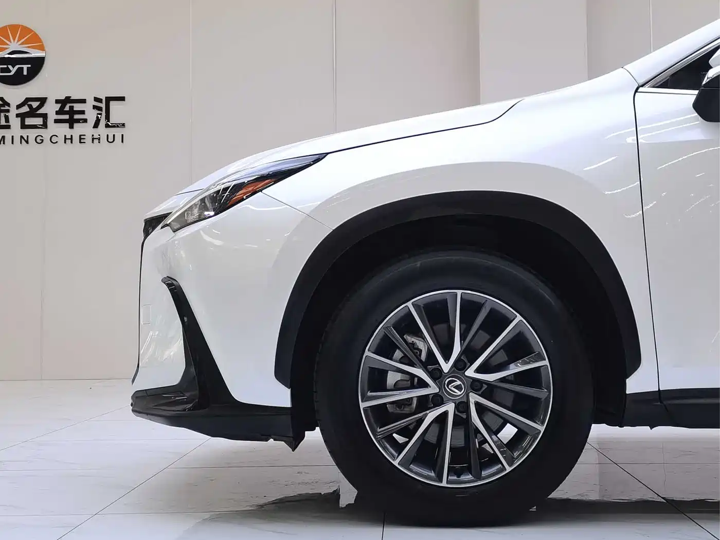 Lexus NX 2023 260 FWD Joy Creation Edition фото 20