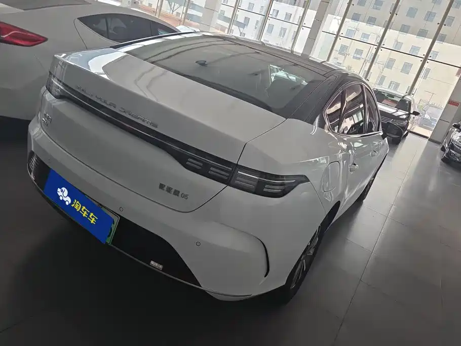 BYD Destroyer 05 2025 2024 Glory Edition DM-i 55KM Luxury