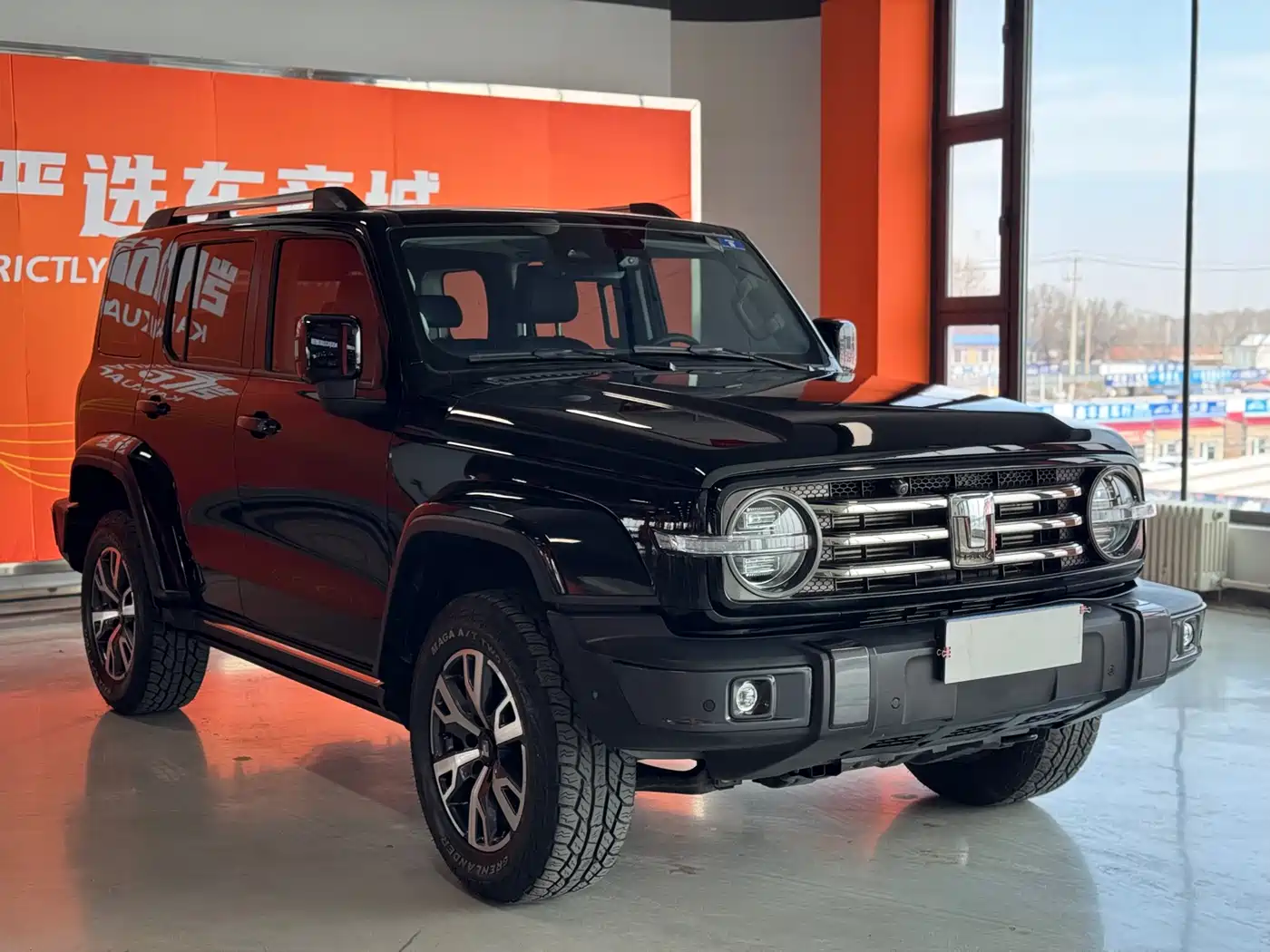 Tank 300 2023 Urban Edition 2.0T Very Stylish фото 3
