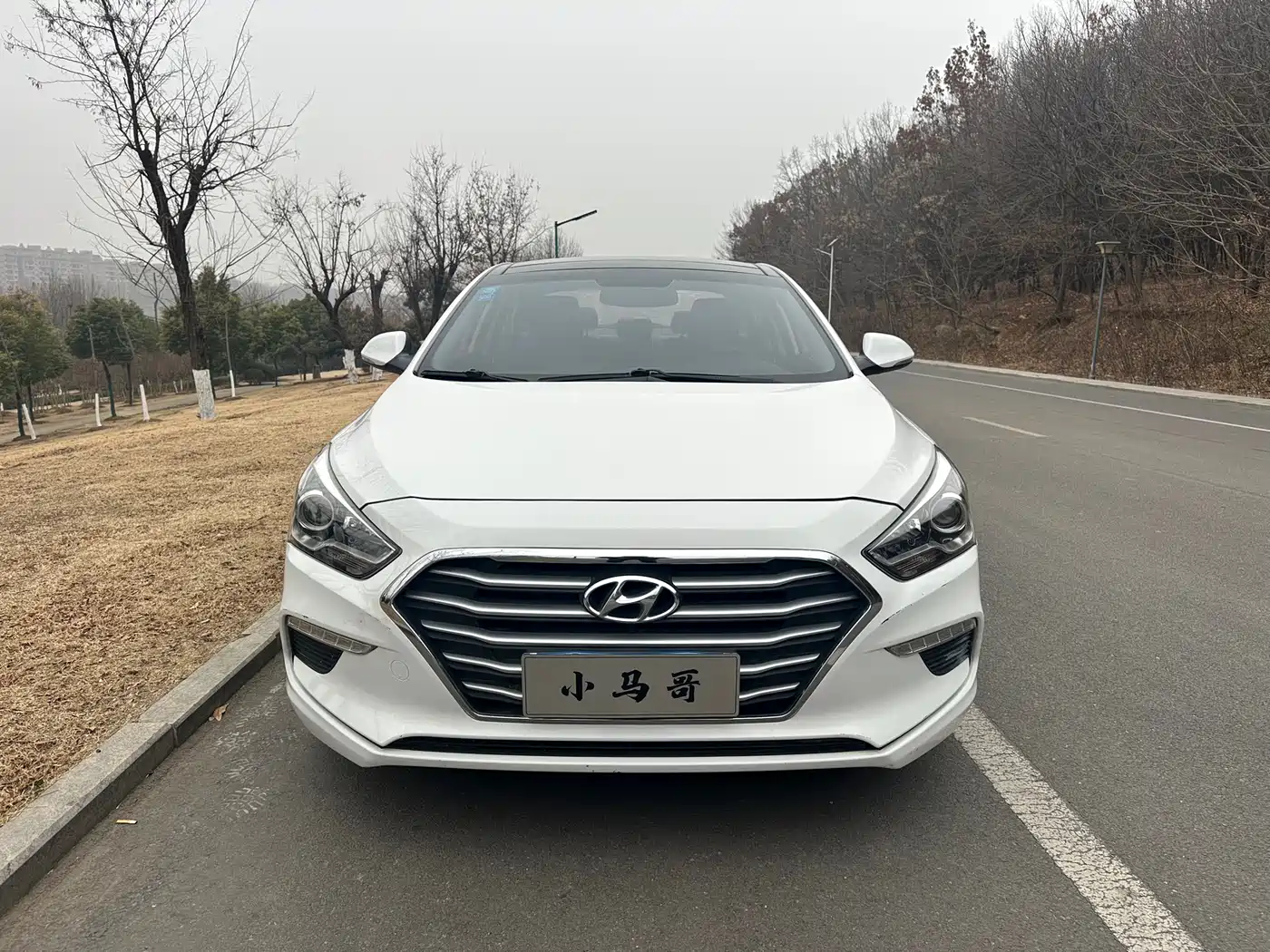 HYUNDAI NAME PICTURE