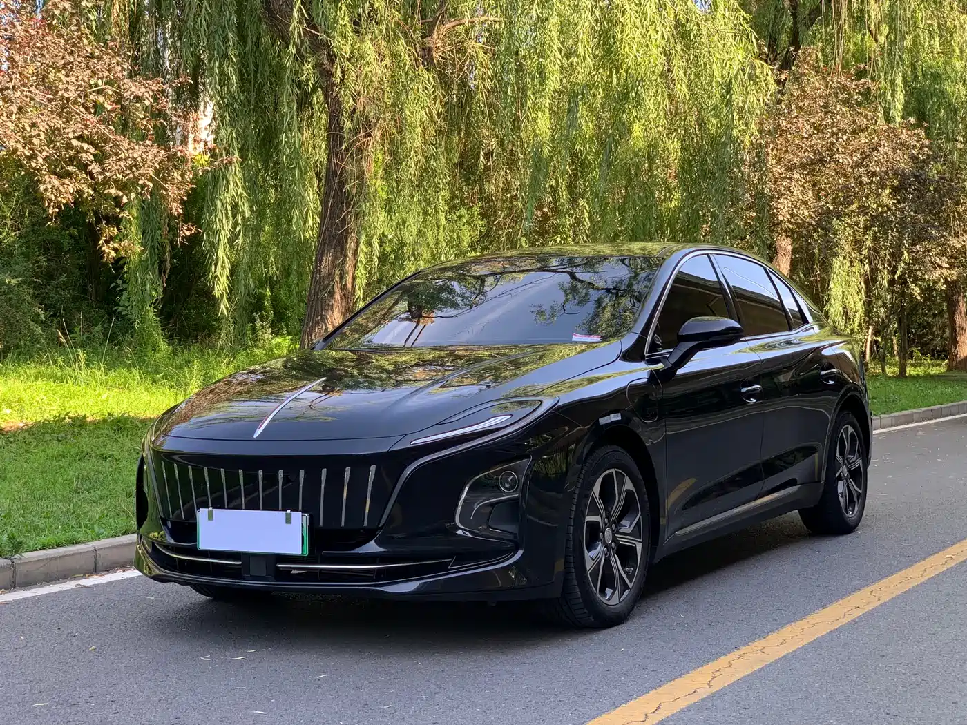 Hongqi E-QM5 2023
