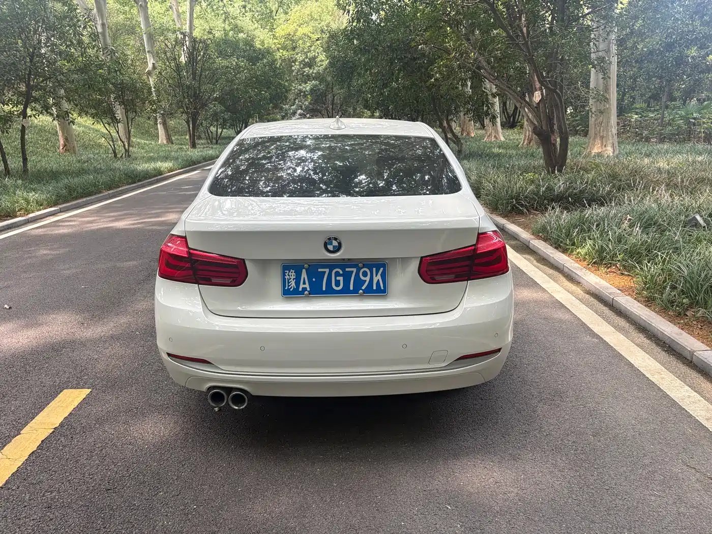BMW 3 Series 2019 320Li Fashion Type фото 7
