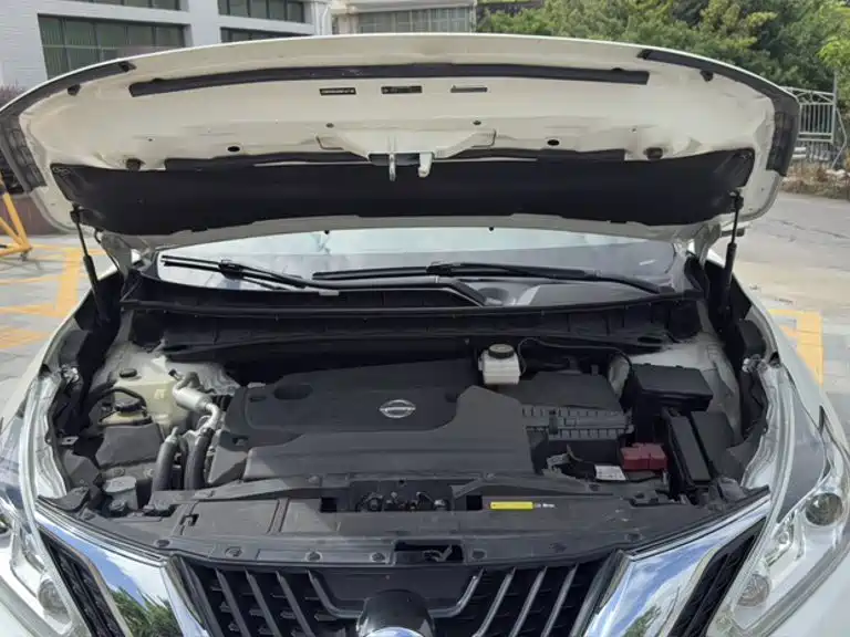 Nissan Murano 2021 2021 2.5L XL 2WD Intelligent Luxury Edition