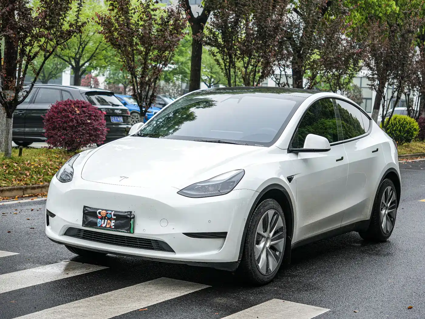 TESLA MODEL Y