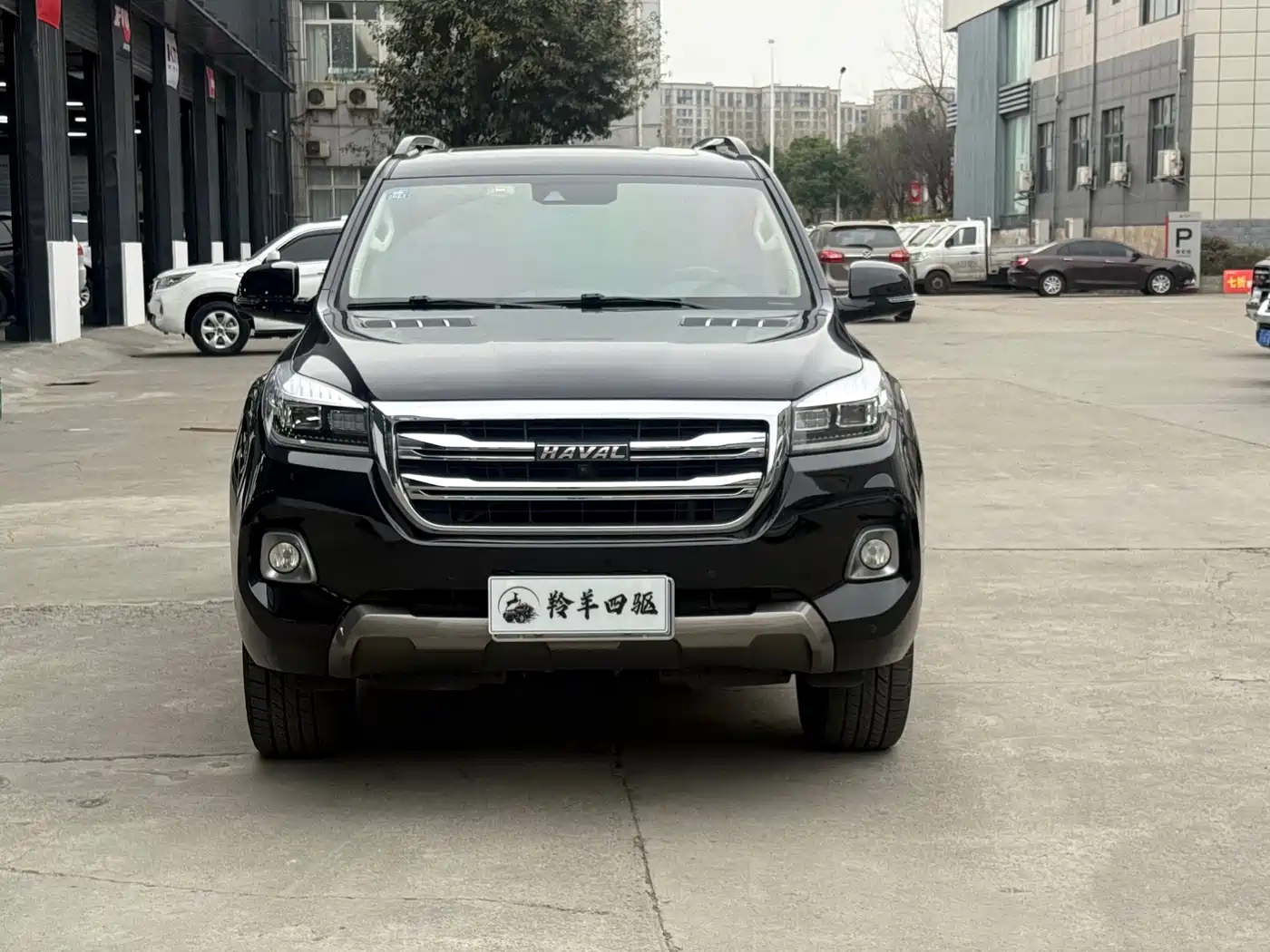Haval H9 2020 2.0T Gasoline AWD Premium 7-Seater фото 2