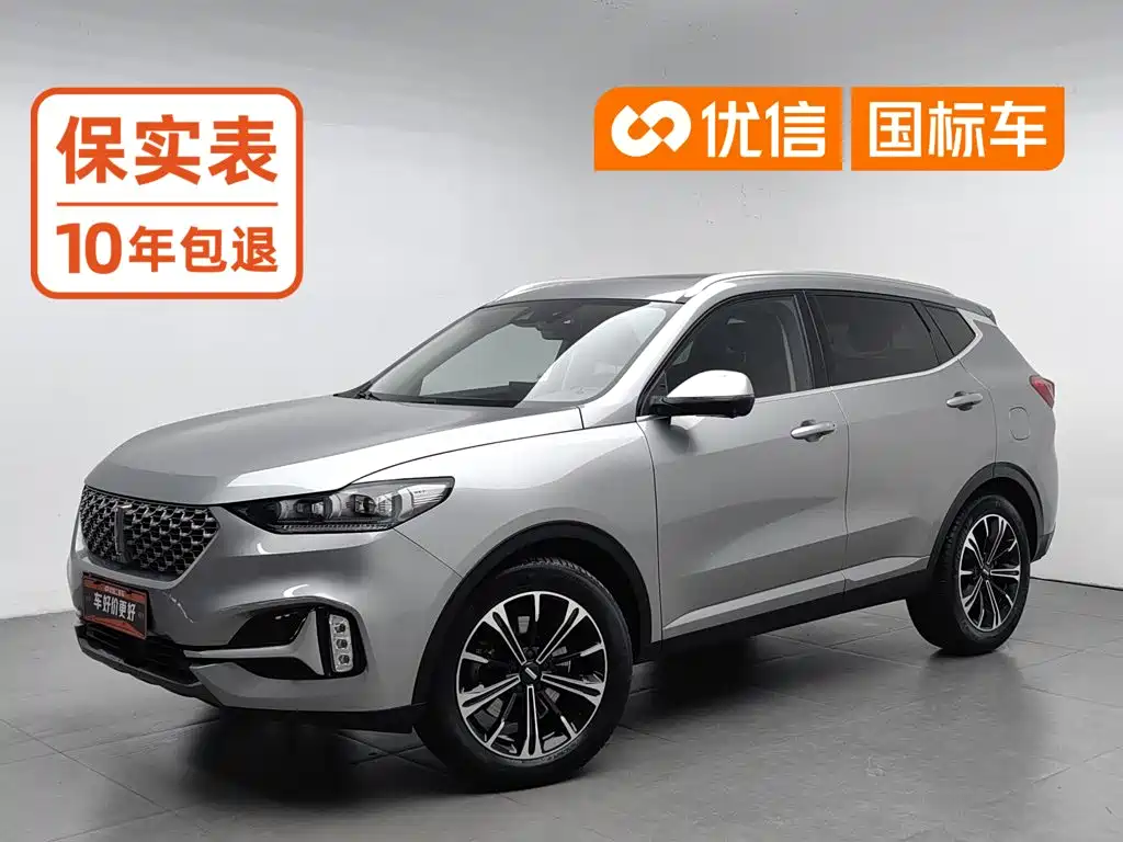 WEY VV6 2021 2021 2.0T 2WD Smart Enjoyment+