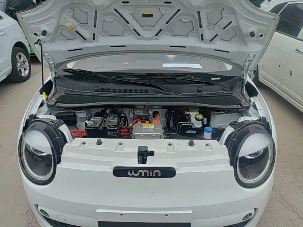 Changan Lumin 2026 2026 Model 205km Treasure Edition