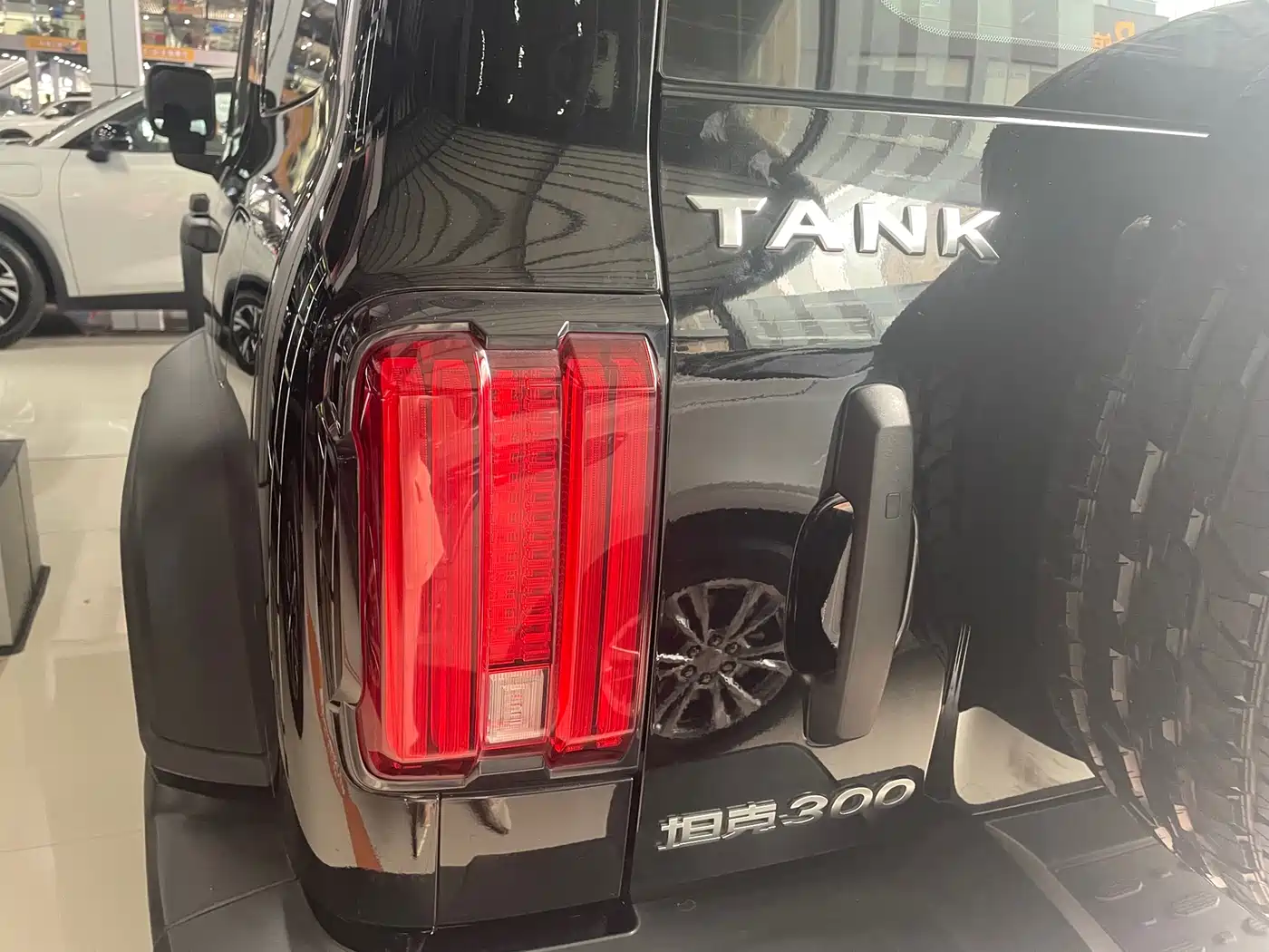 Tank 300 2021 Off-road Version 2.0T Conqueror фото 22