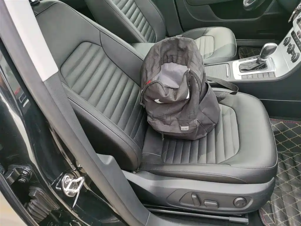 Volkswagen Magotan 2016 1.8TSI Smart Leading фото 25