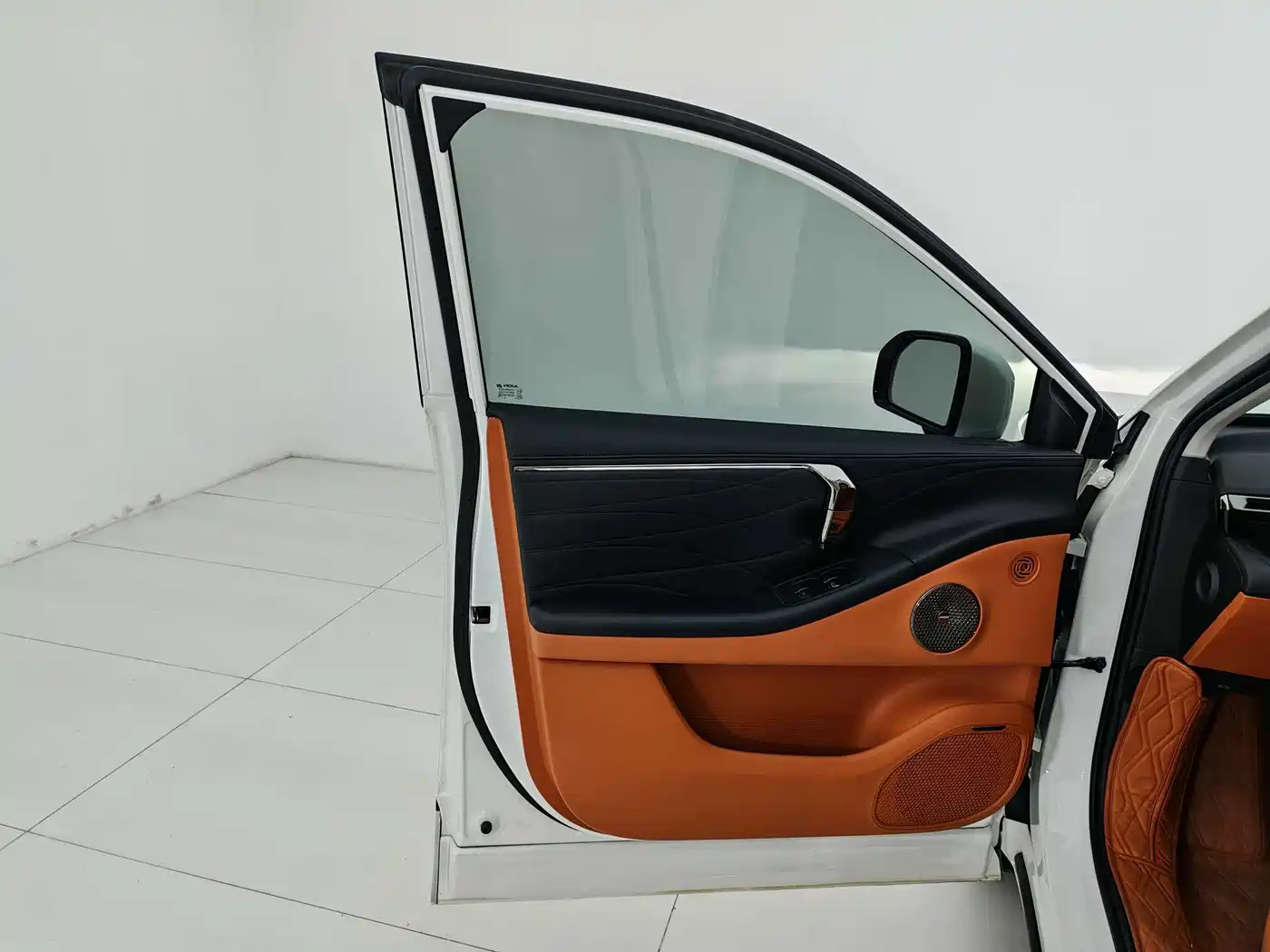 Aion V 2025 2024 Aion T-Rex 650 Smart Luxury Edition