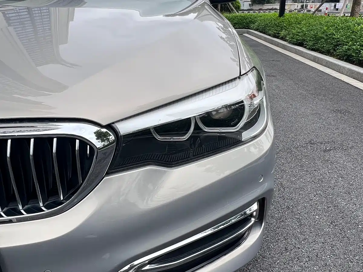 BMW 5 Series 2018 530Li Leading Luxury Package фото 22