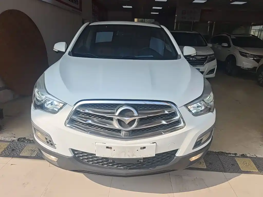 Фото 3 - Haima S5
