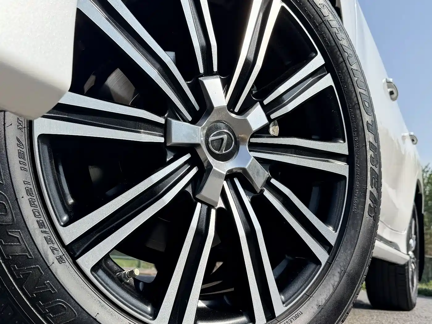 Lexus LX 2019 570 Dynamic Luxury Edition фото 14