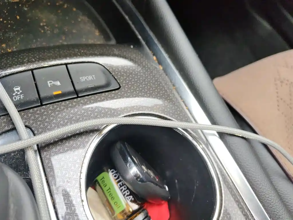 Chevrolet Malibu XL 2018 530T Auto RuiChi Edition фото 12