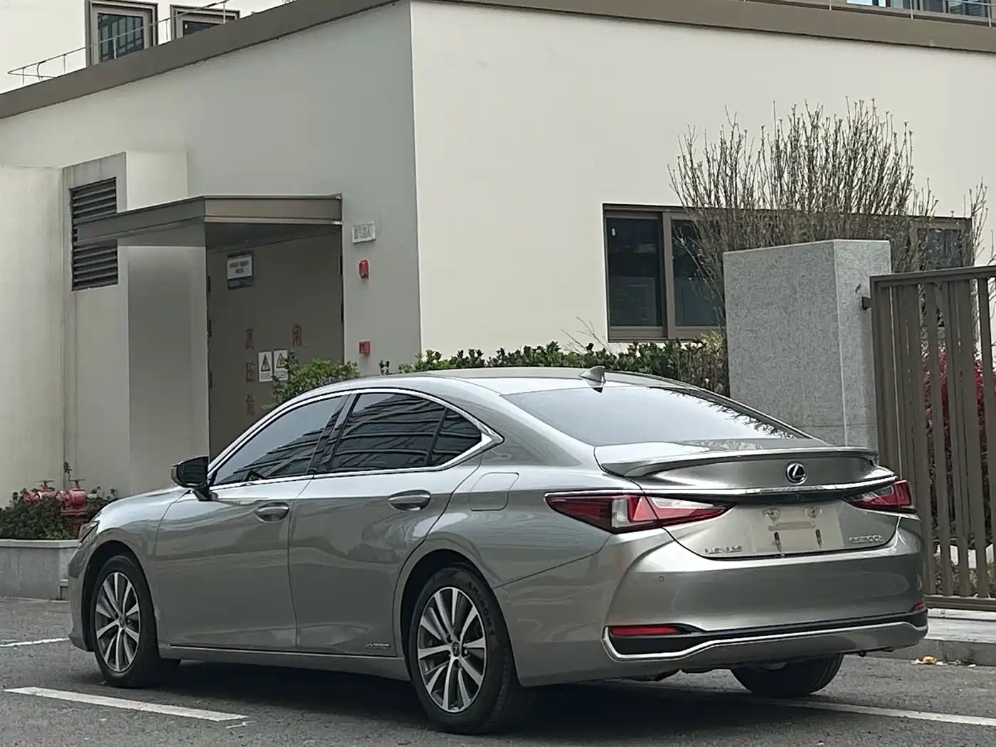 Lexus ES 2018 300h Excellence Edition China V фото 6
