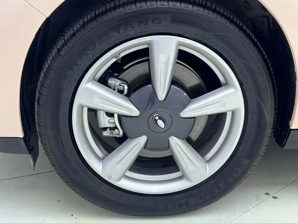 Ora Good Cat 2026 2025 Model 430km Luxury