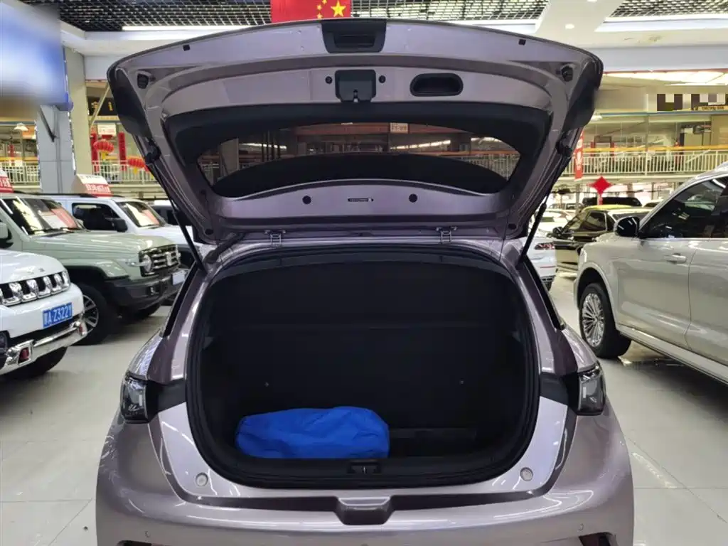 BYD Dolphin 2021 Model 405km Fashion Edition фото 15