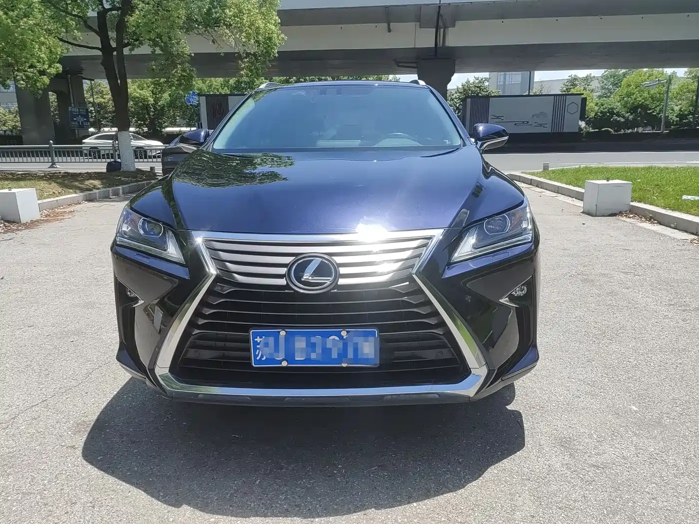 Lexus RX 2016 300 2WD Elite Edition (China V) фото 4