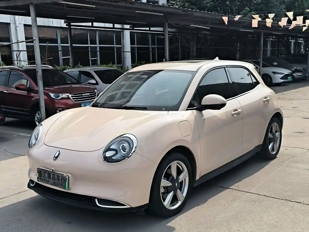 Ora Good Cat 2023 401km Standard Range Honor Edition (LFP)