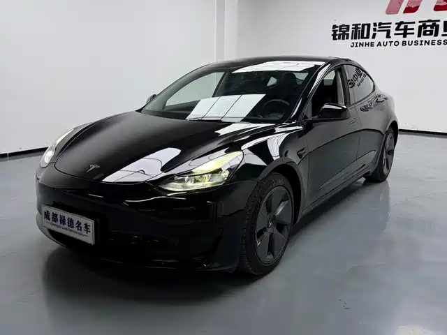 TESLA MODEL 3 2021