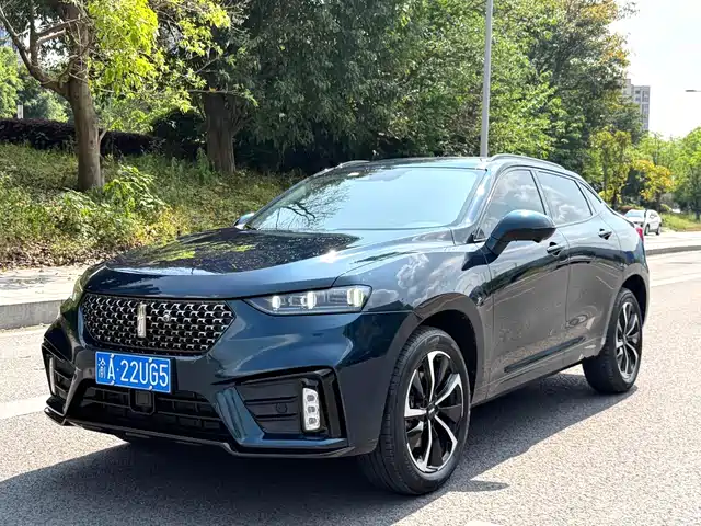 WEI PAI WEI BRAND VV7 GT