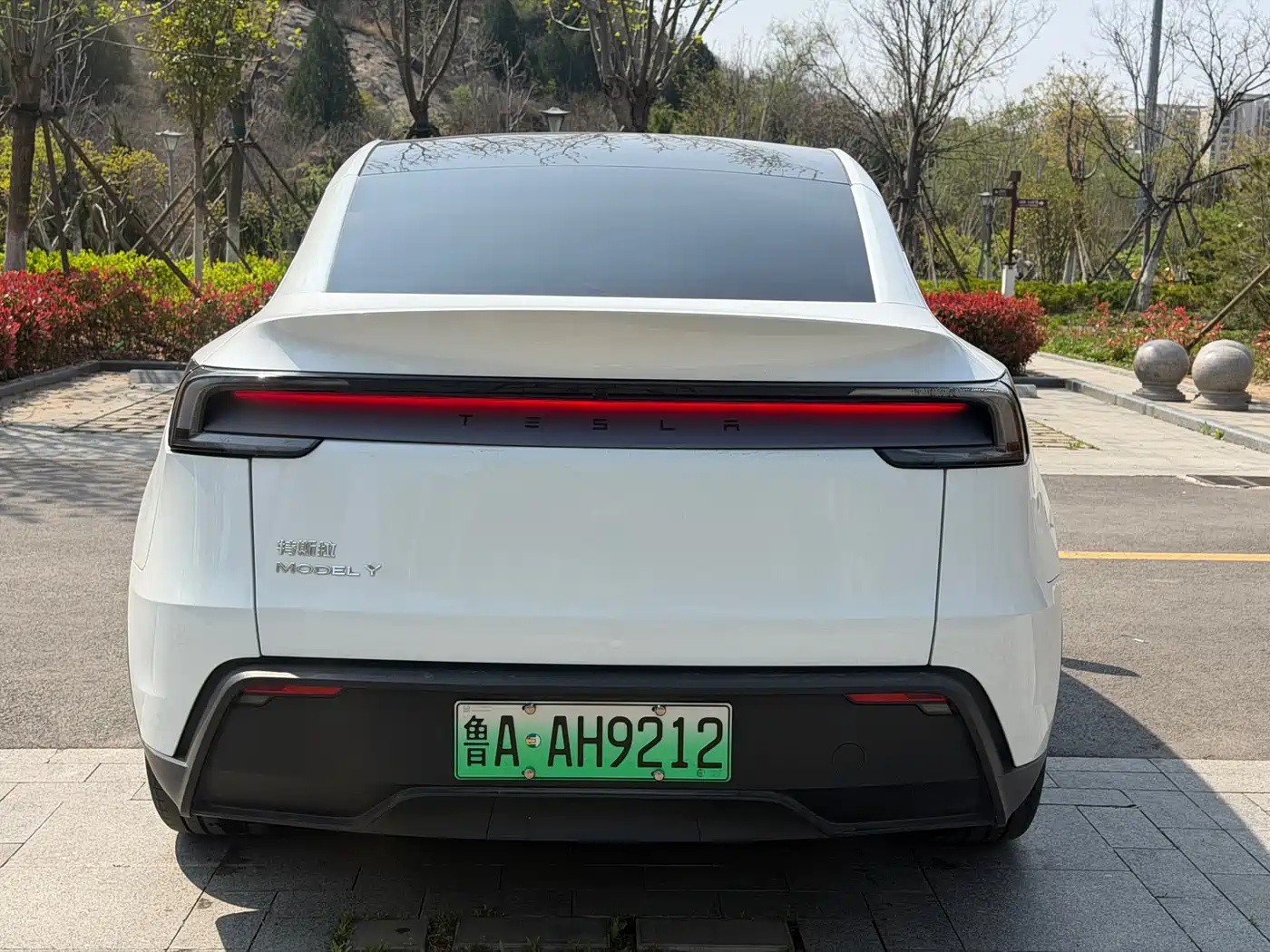 TESLA MODEL Y