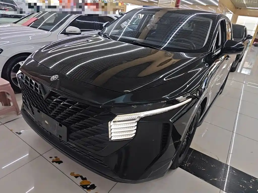 2023 Venucia Big V