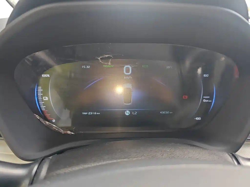 Geely Geometry EX3 Kung Fu Bull 2022 2021 Strong Bull