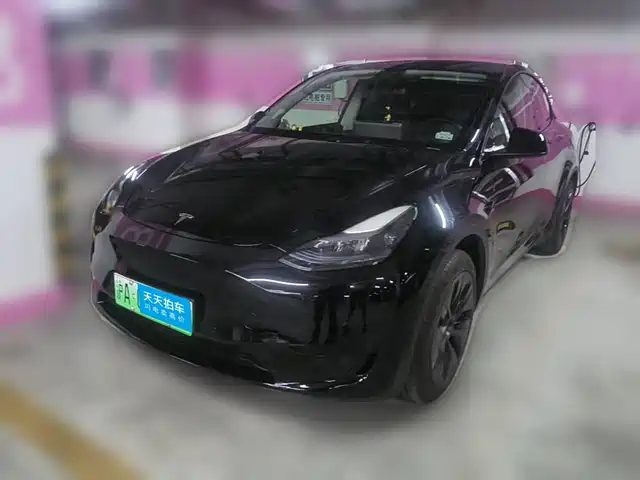 Tesla Model Y 2023 Rear-Wheel Drive Edition — фото 1