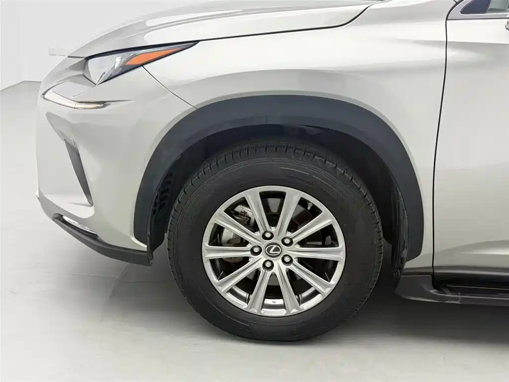 Lexus NX 2018 Model 200 FWD Fengxing Edition China V фото 13