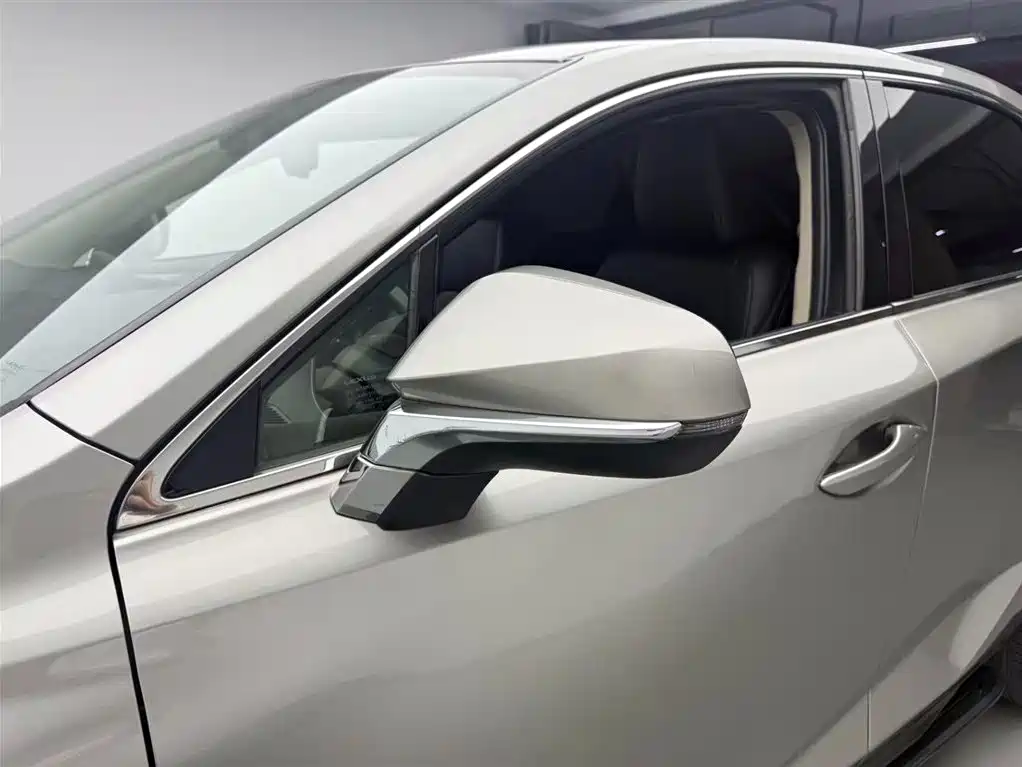 Lexus NX 2018 Model 200 FWD Fengxing Edition China V фото 14