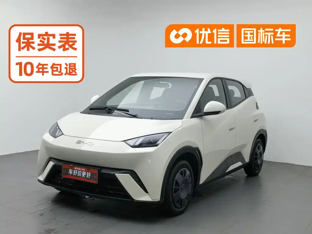 BYD Seagull 2025