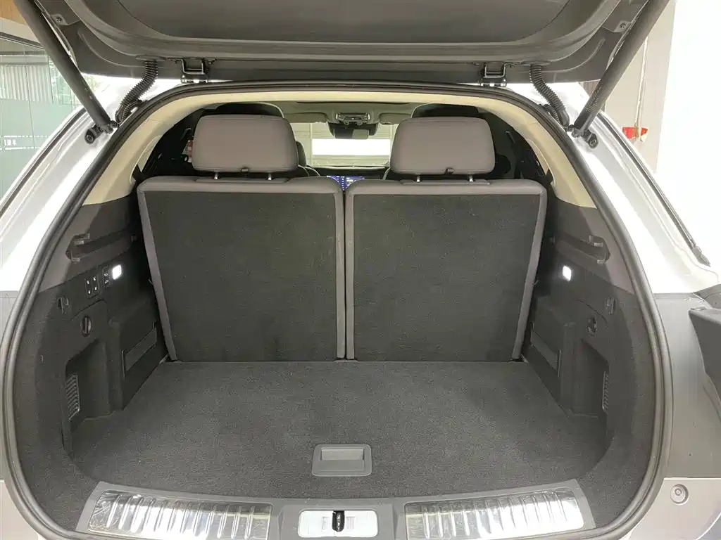 Hongqi E-HS9 2021 2021 510km Flagship Comfort 6-seater