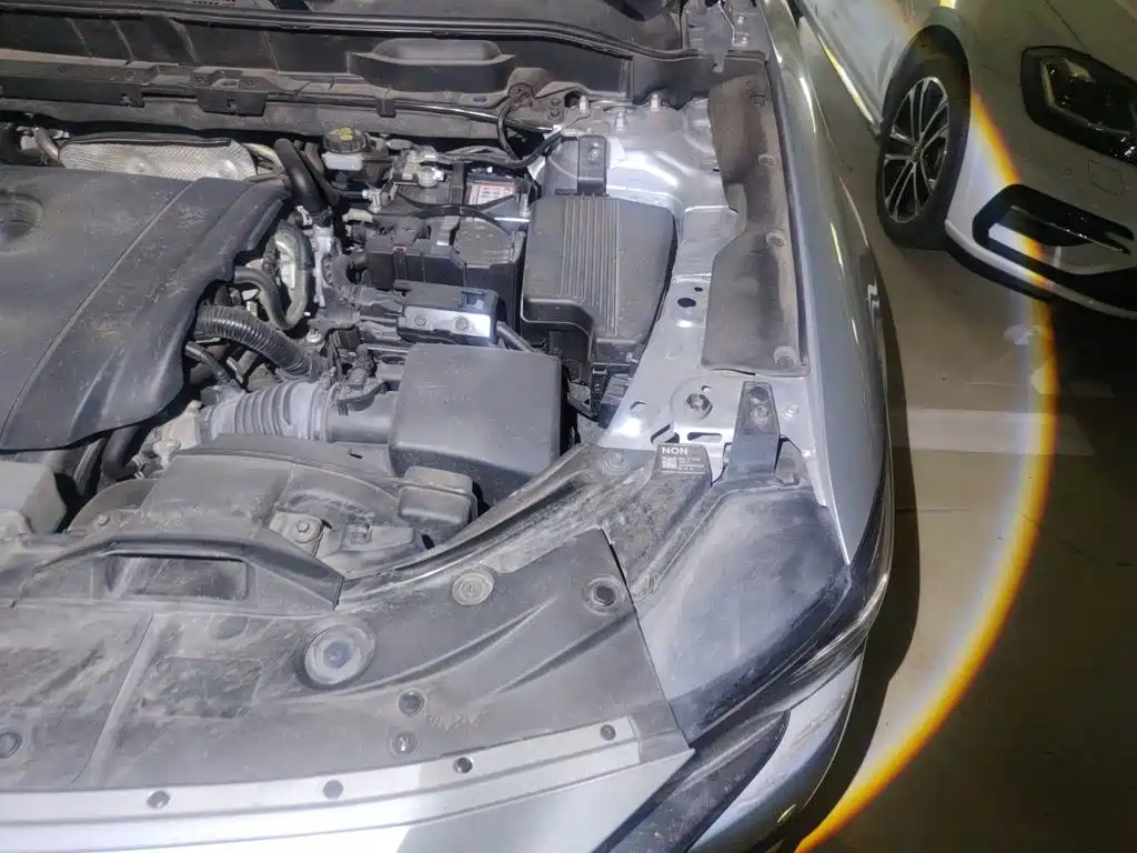 Mazda CX-8 2020 2019 2.5L 2WD Premium