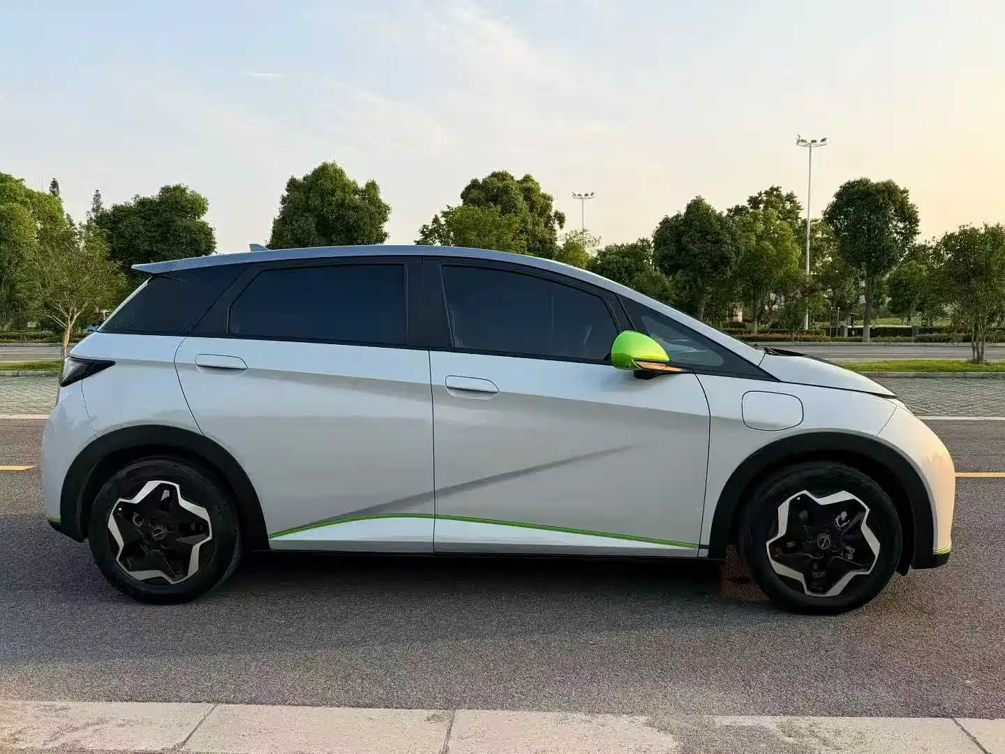 Фото 6 - BYD Dolphin