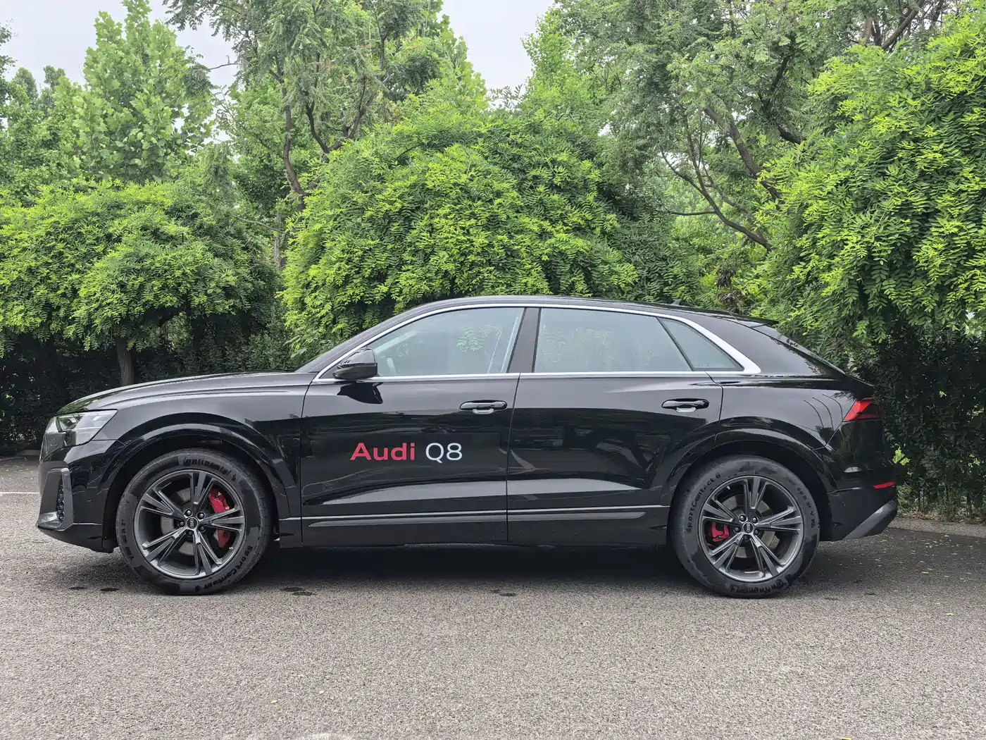 Audi Q8 2024 55 TFSI Luxury Sport фото 3