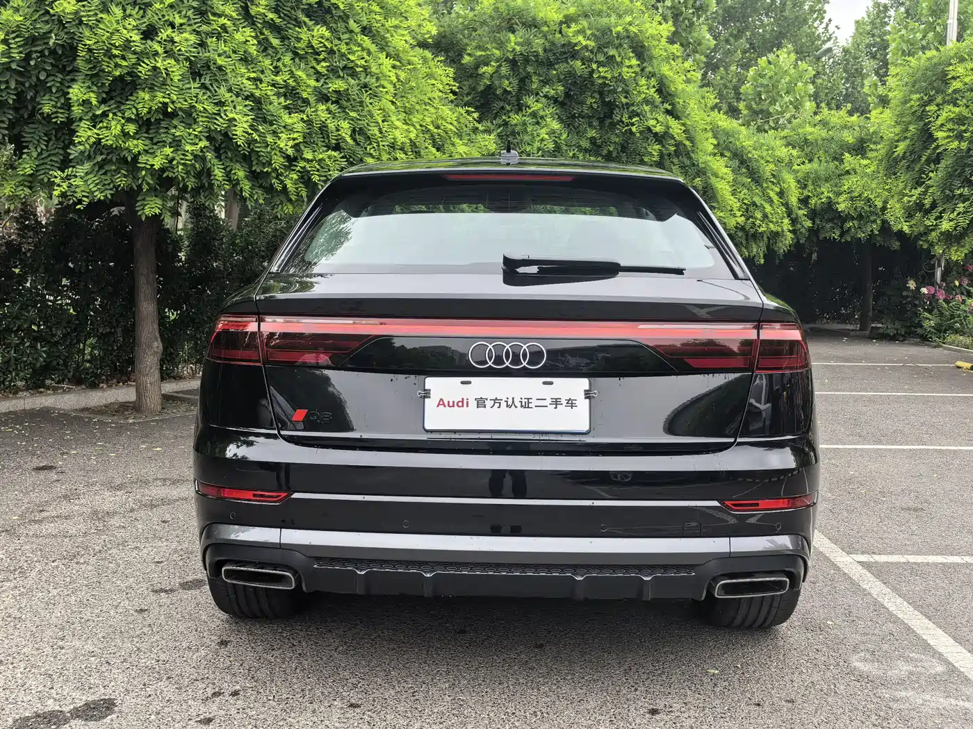 Audi Q8 2024 55 TFSI Luxury Sport фото 14