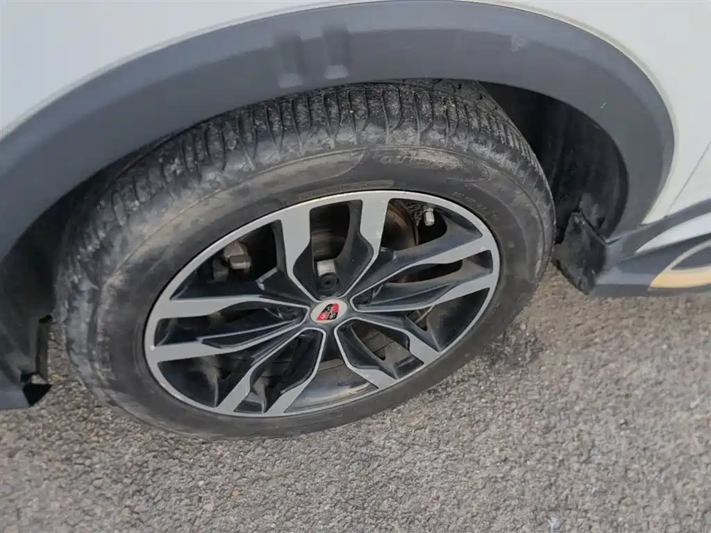 Фото 23 - Roewe RX5
