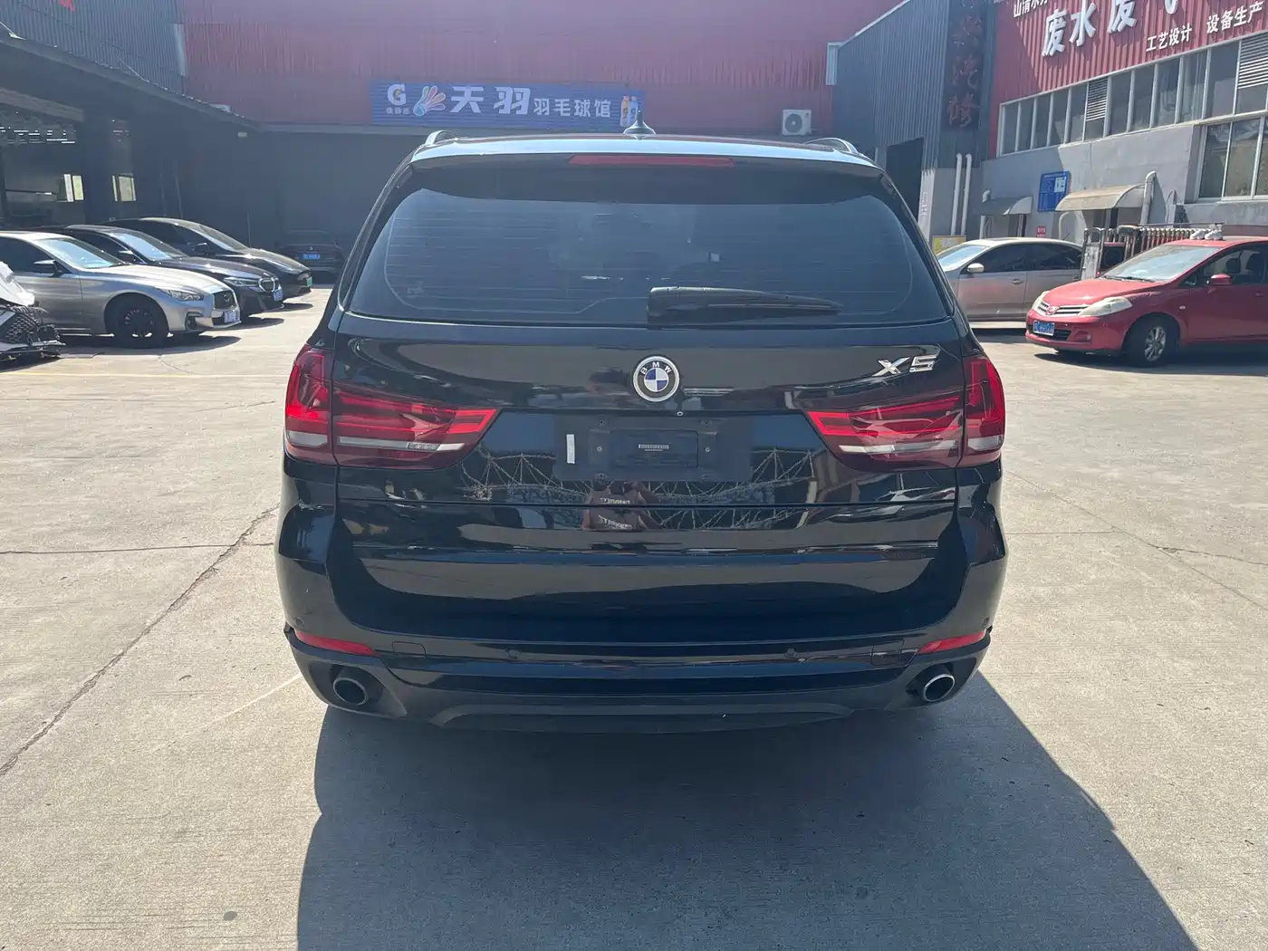 BMW X5 (Import) 2014 xDrive35i Leading фото 7