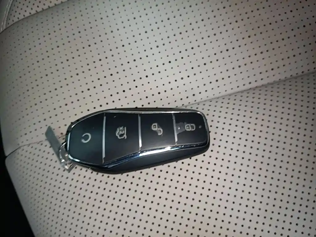 BYD Sealion 06 New Energy 2025 EV 605 Pilot Pro Edition фото 9