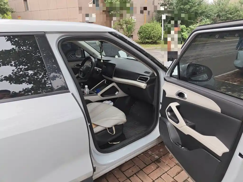 BYD Yuan UP 2025 2025 Smart Drive Edition 401KM Vitality Version