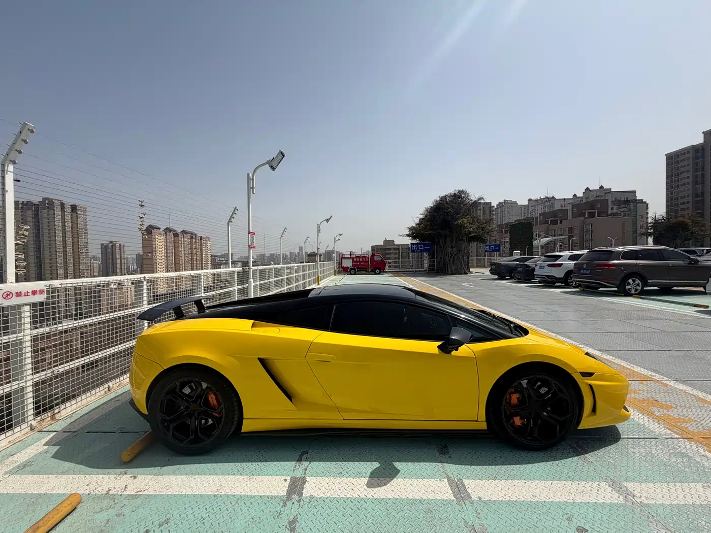 Lamborghini Gallardo 2011 Lamborghini Gallardo LP 560-4 Bicolore фото 6