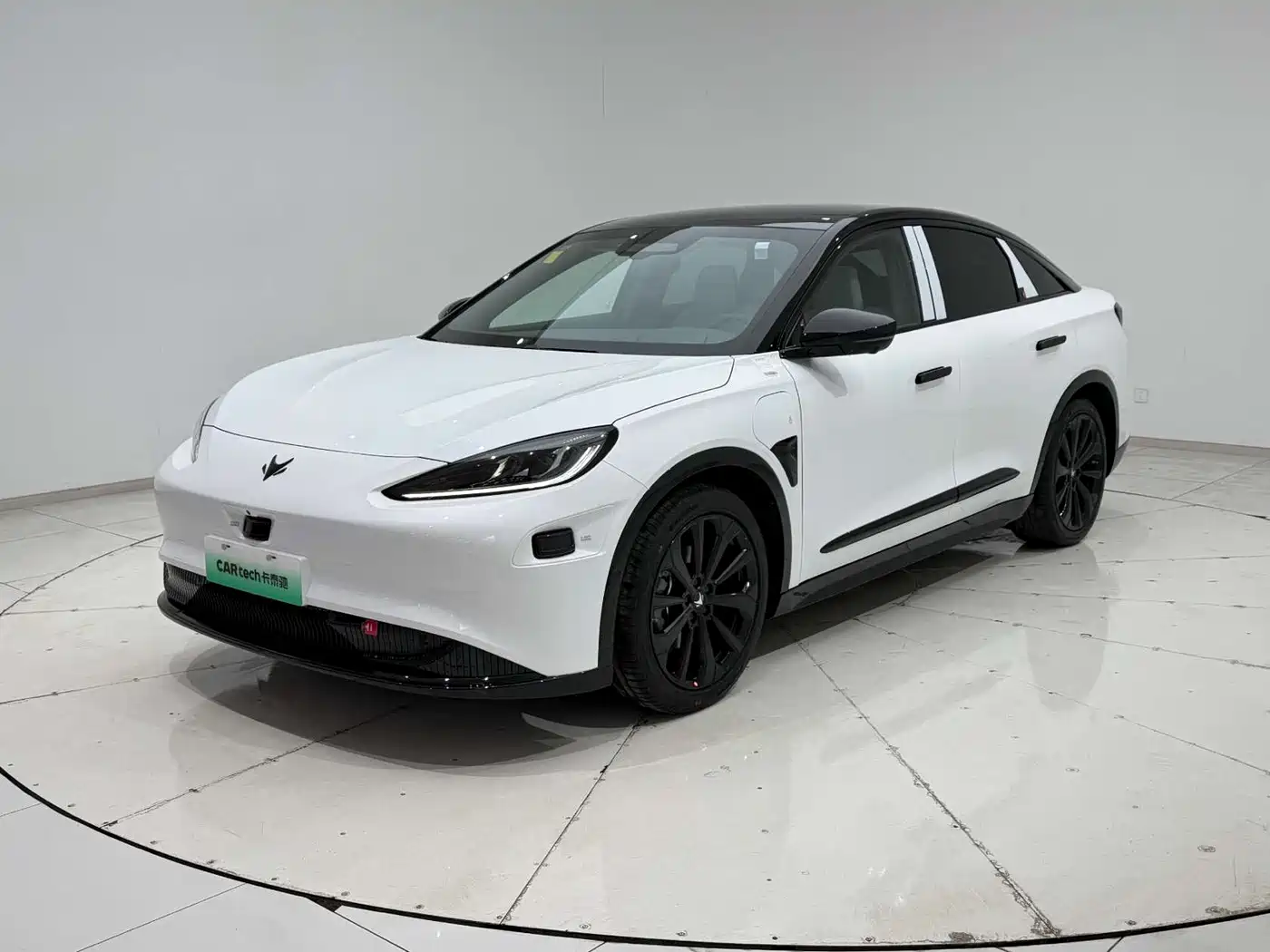 ARCFOX EXTREME FOX POLAR FOX ALPHA S6